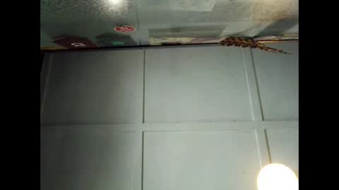 Snapshot of fucmebudoo chatting on 09.29.25 Warwick online show from 09.29.25