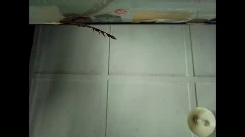 Snapshot of fucmebudoo chatting on 10.04.25 Warwick online show from 10.04.25