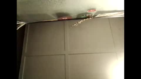 Snapshot of fucmebudoo chatting on 10.10.25 Warwick online show from 10.10.25