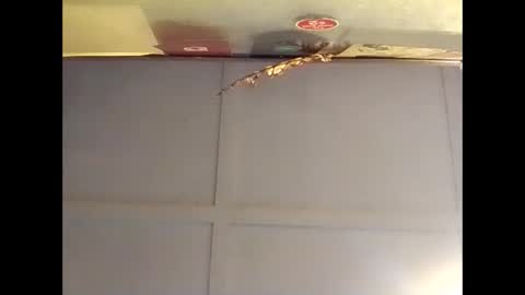 Snapshot of fucmebudoo chatting on 10.16.25 Warwick online show from 10.16.25