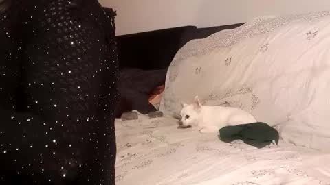 Snapshot of full4cefull chatting on 09.24.25 Pizzaz online show from 09.24.25