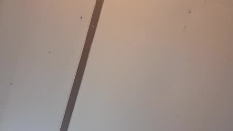 Astrid online show from 04.03.26