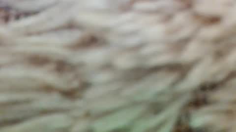 fullyfashionednylonlover online show from 03.02.26