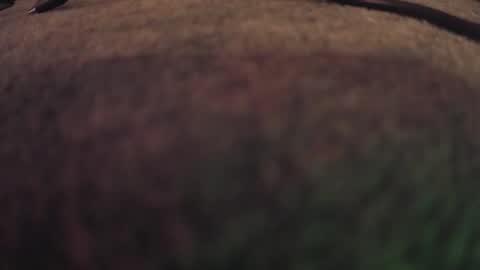 fumymo online show from 01.07.26