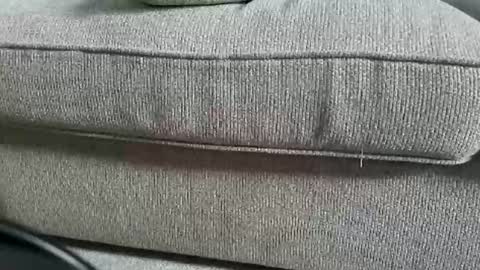 Snapshot of funcouple4282 chatting on 09.12.25 marklaura online show from 09.12.25