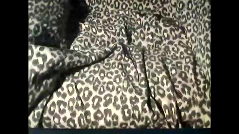 funcyman3 online show from 02.18.25