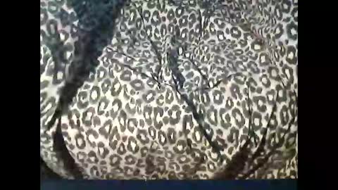 Snapshot of funcyman3 chatting on 04.15.26 funcyman3 online show from 04.15.26