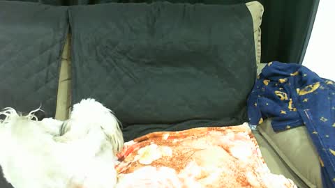 Snapshot of gabibrasil chatting on 01.13.25 gaby layla online show from 01.13.25
