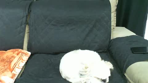Snapshot of gabibrasil chatting on 01.21.25 gaby layla online show from 01.21.25