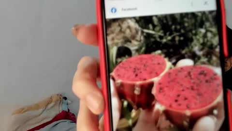 Gabi online show from 01.19.25