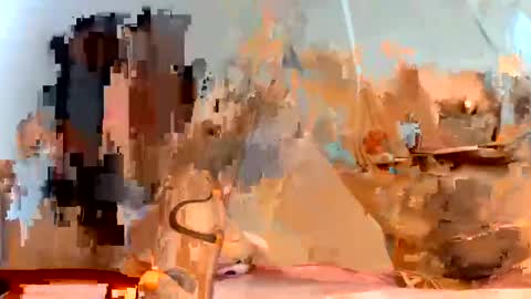 Dani online show from 01.23.25