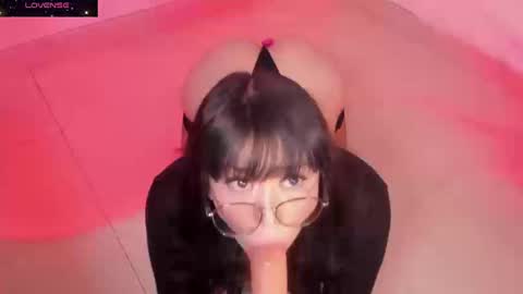 PROXIMO SHOW NOVIEMBRE 16   NEXT SHOW NOVEMBER  16    online show from 09.19.25