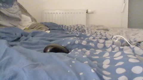 Snapshot of gamane3575 chatting on 07.10.26 gamane3575 online show from 07.10.26