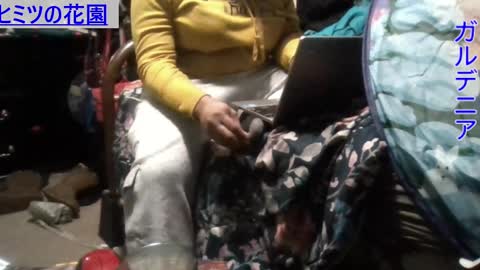 Gardenia online show from 12.09.24