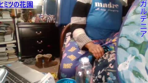 Gardenia online show from 12.24.24