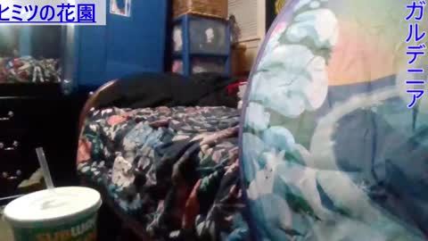 Gardenia online show from 12.25.24