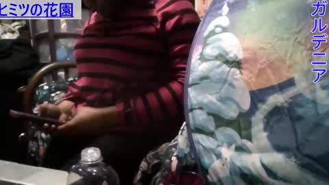 Gardenia online show from 01.06.25