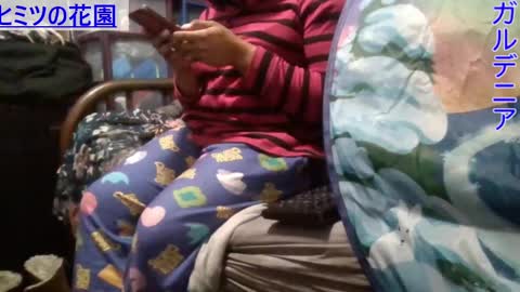 Gardenia online show from 01.07.25