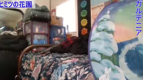 Gardenia online show from 01.08.25