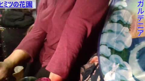 Gardenia online show from 01.09.25