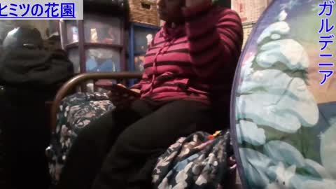 Gardenia online show from 01.10.25