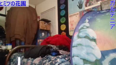 Gardenia online show from 01.21.25