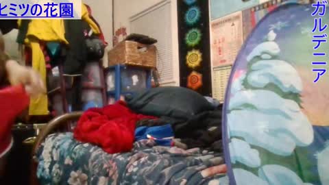 Gardenia online show from 01.24.25