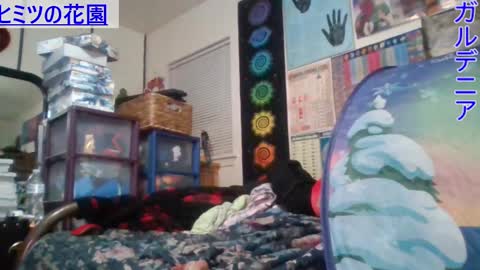 Gardenia online show from 02.25.25