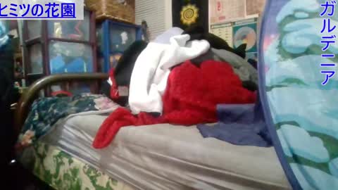 Gardenia online show from 03.01.25