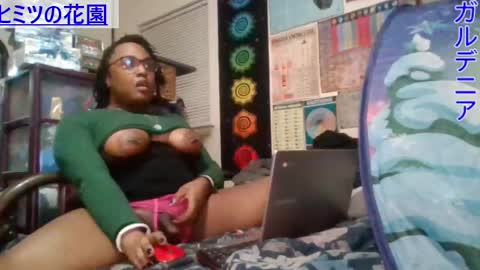 Gardenia online show from 03.08.25