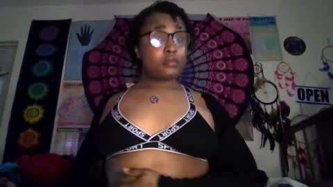 Gardenia online show from 03.17.26