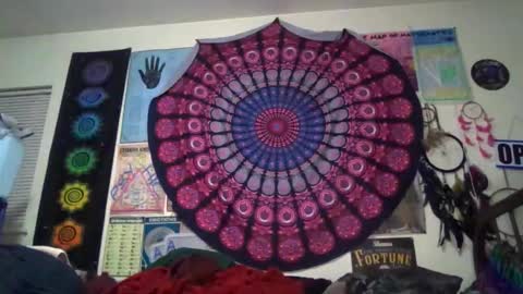 Gardenia online show from 03.20.26