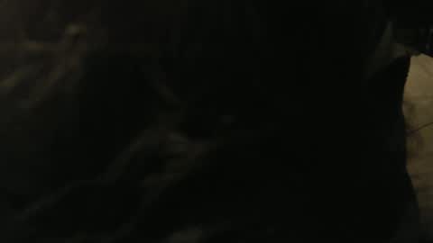 Gary online show from 01.09.25