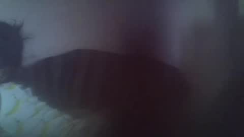 gasielah online show from 01.27.25