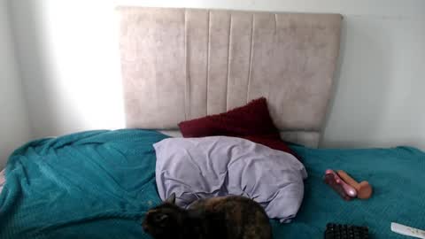 gatita13333321 online show from 04.13.26