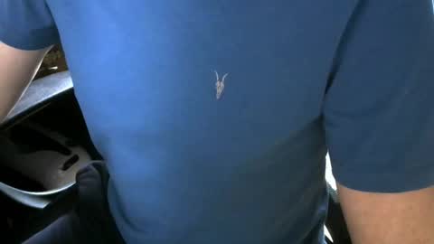 gay slave on cam online show from 10.05.25