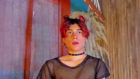 HAN online show from 01.13.26