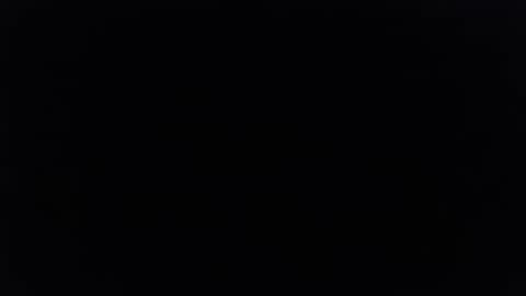 genowixk online show from 10.04.25