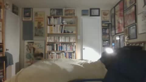 Steve online show from 11.26.25