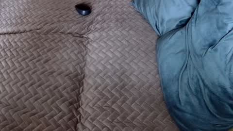 Melissa online show from 11.30.25