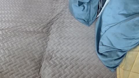 Melissa online show from 02.17.26