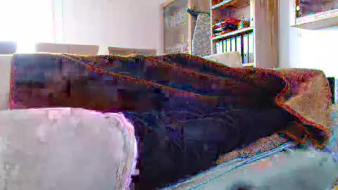 Snapshot of germanandy71 chatting on 12.29.24 germanandy71 online show from 12.29.24