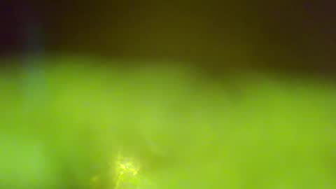 germanandy71 online show from 01.06.26