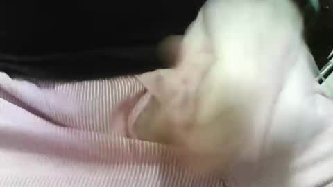 germandaddydick1 online show from 10.25.25