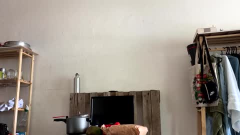 gerson229 online show from 01.06.26