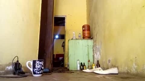 Gaby online show from 10.21.25