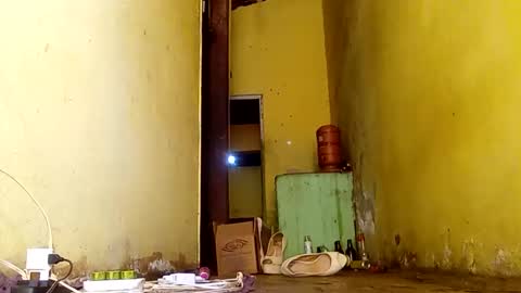 Gaby online show from 11.14.25