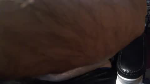 Snapshot of gianni9000000 chatting on 02.05.26 Gianni9000000 online show from 02.05.26