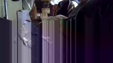 Snapshot of gicobest chatting on 01.19.26 Corrado online show from 01.19.26