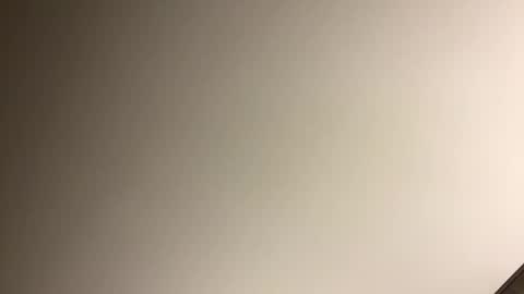 gingercockring online show from 03.09.25